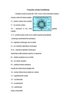 Referāts 'Urīnpūšļa audzējs', 5.