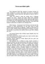 Eseja 'Tavas autoritātes spēks', 2.