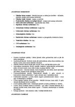 Prakses atskaite 'Pacienta slimības vēsture', 3.