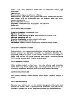 Prakses atskaite 'Pacienta slimības vēsture', 6.