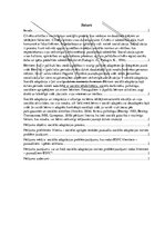 Referāts 'Sociālās adaptācijas norises problēmjautājumi', 1.