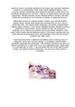 Konspekts 'Rašmora kalns', 3.