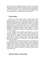 Referāts 'Digitālais fotoaparāts', 5.