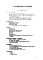 Referāts 'Iekšējais audits tūrisma uzņēmumā', 3.