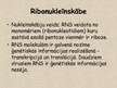 Prezentācija 'Nukleīnskābes', 11.