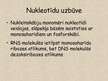 Prezentācija 'Nukleīnskābes', 14.