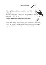 Konspekts 'Integrētā nodarbība 2.klasei. Gājputnu atgriešanās', 4.