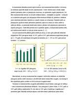 Referāts 'Inflācija un tās dzinējspēki Latvijā', 17.