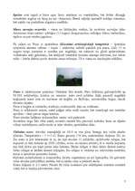 Referāts 'Peru', 7.