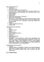 Konspekts 'Latvijas banku pakalpojumi', 6.