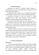 Referāts 'Brīvprātīgā sauszemes auto transportlīdzekļu apdrošināšana', 21.