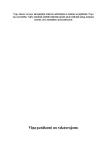 Konspekts 'Panākumu cilvēks - Ričards Brensons', 4.