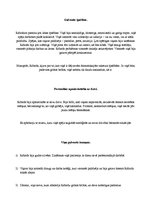 Konspekts 'Panākumu cilvēks - Ričards Brensons', 5.