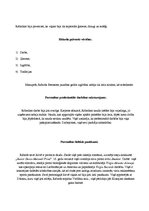 Konspekts 'Panākumu cilvēks - Ričards Brensons', 6.