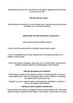 Konspekts 'Panākumu cilvēks - Ričards Brensons', 8.