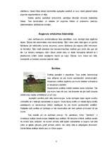 Konspekts 'Augsnes apstrādes tehnika', 6.