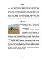 Konspekts 'Augsnes apstrādes tehnika', 8.