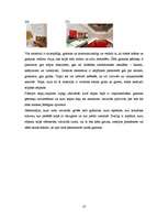 Referāts 'Gaisma, forma, apjoms', 10.