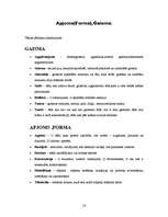 Referāts 'Gaisma, forma, apjoms', 14.