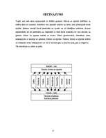 Referāts 'Gaisma, forma, apjoms', 15.