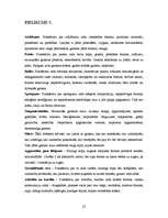 Referāts 'Gaisma, forma, apjoms', 22.