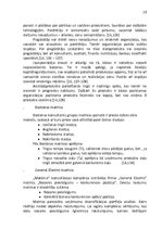 Biznesa plāns 'Uzņēmuma konkurētspējas paaugstināšanas projekts "LMT"', 19.