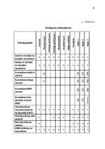 Biznesa plāns 'Uzņēmuma konkurētspējas paaugstināšanas projekts "LMT"', 31.