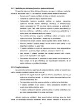 Referāts 'Personāla motivēšanas un atalgojuma sistēmas projekts', 11.