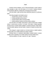 Referāts 'Motivācijas teorijas menedžmenta skatījumā un to atspoguļojums praksē', 5.