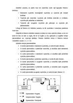 Referāts 'Motivācijas teorijas menedžmenta skatījumā un to atspoguļojums praksē', 12.
