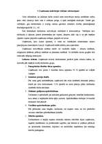 Referāts 'Motivācijas teorijas menedžmenta skatījumā un to atspoguļojums praksē', 21.