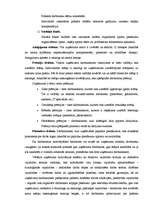 Referāts 'Motivācijas teorijas menedžmenta skatījumā un to atspoguļojums praksē', 23.