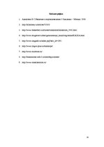 Referāts 'Лексические трансформации в переводе с английского языка на русский текстов спор', 17.