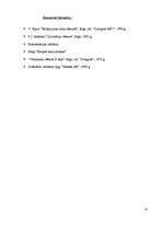 Konspekts 'Jauno laiku sākums Eiropā', 10.