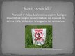 Prezentācija 'Pesticīdi', 2.