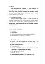 Referāts 'Svarīgākais prezentēšanas mākslā', 8.