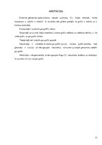 Referāts 'Граффити', 27.