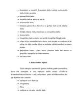 Konspekts 'Autortiesības un blakustiesības, subjekti un objekti', 6.