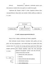 Referāts 'Darba izmaksu uzskaite', 41.