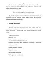 Referāts 'Darba izmaksu uzskaite', 53.