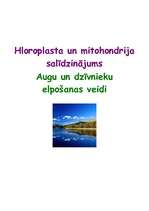 Referāts 'Hloroplasta un mitohondrija salīdzinājums', 1.
