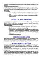 Referāts 'Hloroplasta un mitohondrija salīdzinājums', 8.