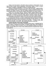 Referāts 'Džeralds L.Vilsons, Maikls S.Hanna “Grupas kontekstā. Vadība un līdzdalība mazās', 6.
