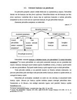 Referāts 'Pašvaldību darbība publisko un privāto tiesību jomā', 11.