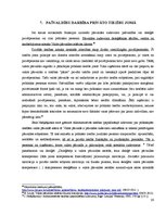 Referāts 'Pašvaldību darbība publisko un privāto tiesību jomā', 26.