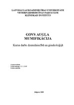 Referāts 'Govs augļa mumifikācija', 1.