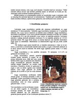 Referāts 'Govs augļa mumifikācija', 8.