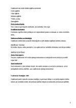 Referāts 'Uzņēmuma "X" ārējās un iekšējās vides analīze', 6.