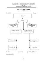 Paraugs 'Personāllietvedības dokumentu paraugi', 3.