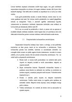 Referāts 'Eksporta analīze Latvijā', 6.